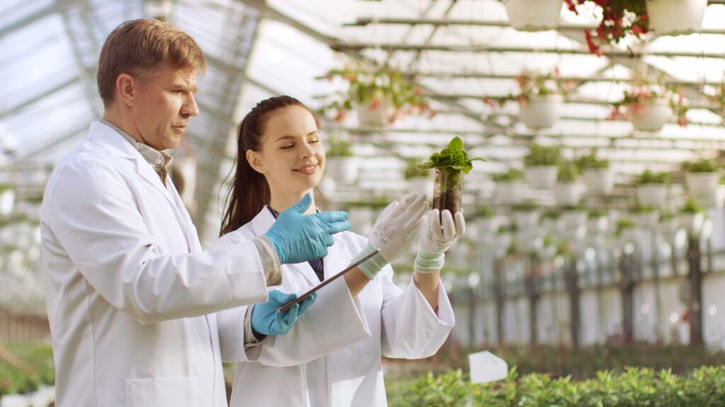 Plant Growth Analysts