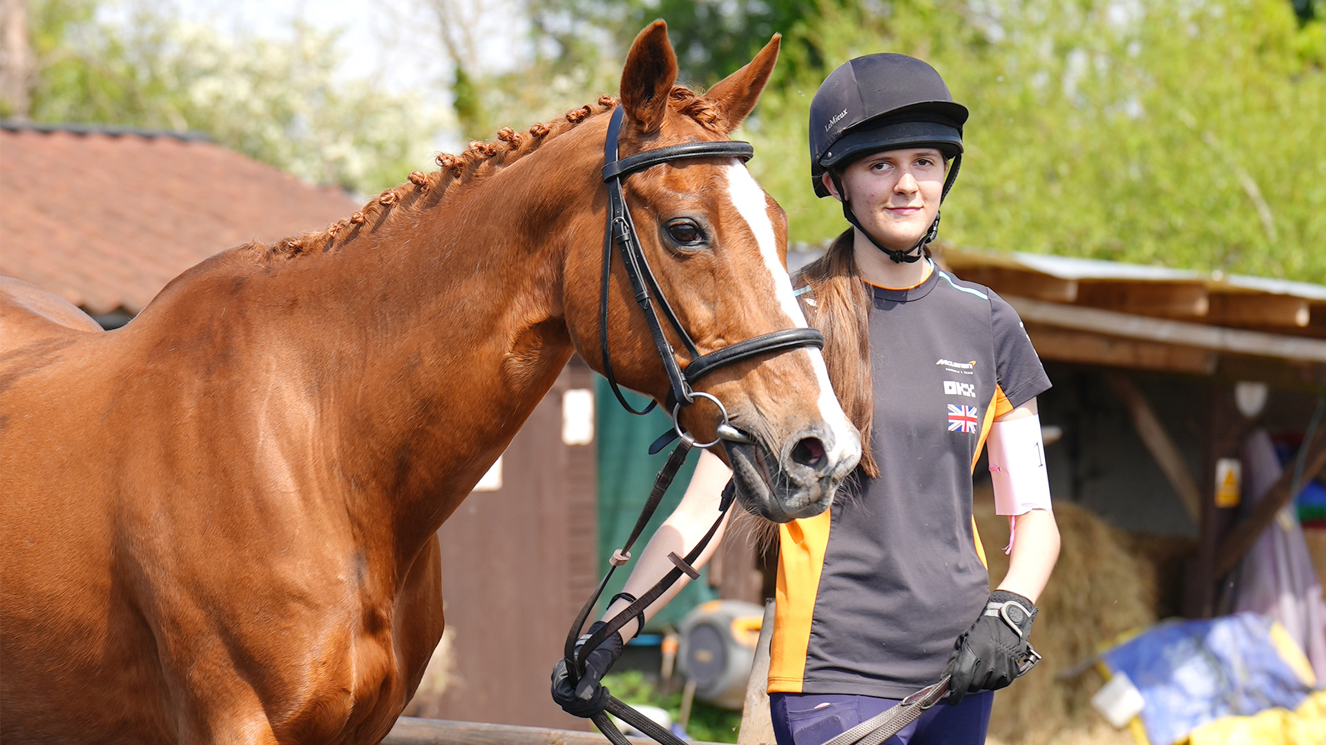 T-level Foundation Year in Equine